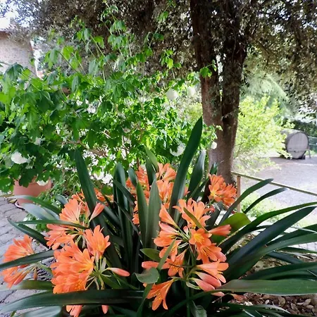 Popoltaio-schiacciato Sleeps 3 Pool Air Con Апартаменты